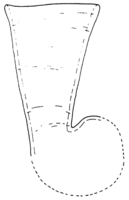 Afbeelding object 98alk3 - 169 - Alk98-91WOR-19-8