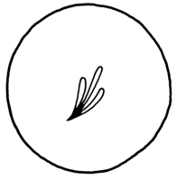 Afbeelding object 98alk3 - 124 - Alk98-92WOR-19-14