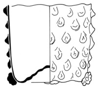 Afbeelding object 02haa6 - 82 - BP