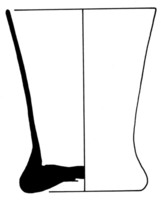 Afbeelding object 02haa6 - 84 - BP