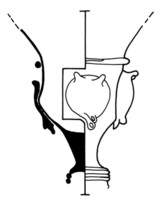 Afbeelding object 02haa6 - 105 - BP