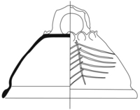 Afbeelding object 11ams13 - 60 - NDK-757-1