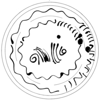 Afbeelding object 95dha1 - 22 - Dha95-3, bkh91-35.30