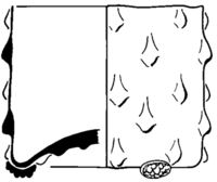 Afbeelding object 95dha1 - 131 - Dha95-4B, ann91-209.58