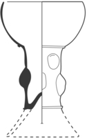 Afbeelding object 96dha2 - 236 - Dha96-13