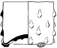 Afbeelding object 96dha2 - 167 - Dha96-14