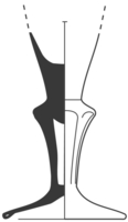 Afbeelding object 96dha2 - 210 - Dha96-14