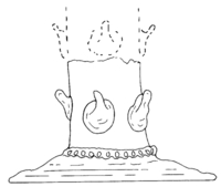 Afbeelding object 01alk4 - 129 - 92VDA-2m