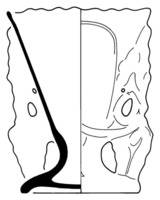 Afbeelding object 13zwo23 - 19 - Zwo13Pan10-8-307-3