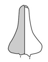 Afbeelding object 12rijs1 - 23 - 40947 - RHP10-1 1-45 25