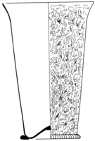 Afbeelding object 93has1 - 1 - Has-1