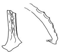 Afbeelding object 09oth2 - 10 - OH-LV-10