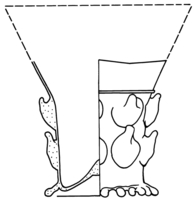 Afbeelding object 90kam1 - 203 - Kam90-Me89-2 133