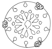 Afbeelding object 90kam1 - 199 - Kam90-Pui86 19