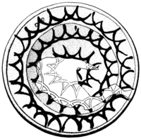 Afbeelding object 89kes1 - 137 - Kes89