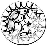 Afbeelding object 89kes1 - 138 - Kes89