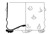 Afbeelding object 17ams17 - 477 - OZV9-8-542