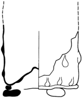 Afbeelding object 97maa2 = 97cruend - 40 - Cru-gla-21