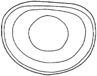 Afbeelding object 97maa2 = 97cruend - 9 - Maa97-End2 4