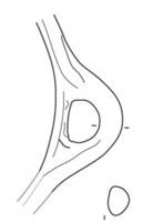 Afbeelding object 15nijm8 - 167 - Nld16.02440-AWG1.206