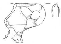 Afbeelding object 17lei2 - 60 - 99.77