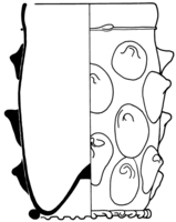 Afbeelding object 91nijm1 - 347 - Nym91-Ei 16