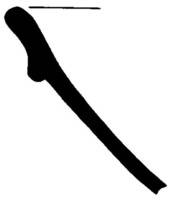 Afbeelding object 89kes1 - 187 - 89kes1.