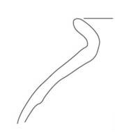 Afbeelding object 18nijm11 - 81 - nvnr. 4192