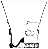 Afbeelding object 91nijm1 - 352 - Nym91-Ei 30
