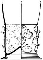 Afbeelding object 95alk1 - 192 - 91wor-3-111