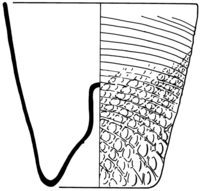 Afbeelding object 91nijm1 - 288 - Nym91-Ei 4