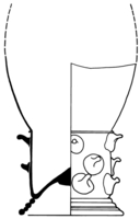 Afbeelding object 91nijm1 - 354 - Nym91-Ei 42