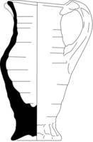 Afbeelding object 11ams8 - 27 - OS4-33-5