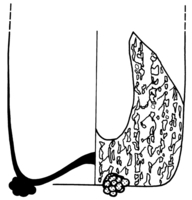 Afbeelding object 91nijm1 - 296 - Nym91-Ei 57