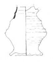 Afbeelding object 04phi1 - 1 - Coll. Reijngoudt-Verwijs 1