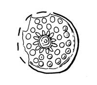 Afbeelding object 99sted - 22 - 129, DDT 23-955-1