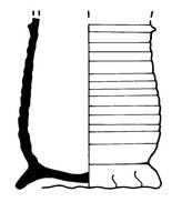 Afbeelding object 99sted - 45 - 124, DDT 22-677-56