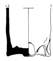 Afbeelding object 99sted - 365 - 137, DDT 23-1107-55