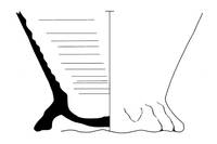 Afbeelding object 99sted - 772 - 218, NYM 1010-24-13