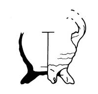 Afbeelding object 99sted - 800 - 136, DDT 23-1096-40