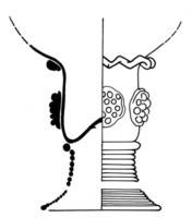 Afbeelding object 07vli1 - 29 - VLIN3-04-686