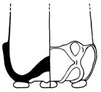 Afbeelding object 06zwo9 - GL 4 - wer 8-1-3/1145