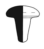 Afbeelding object 12dha4 - 190 - BIR92-7.16