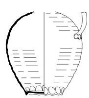 Afbeelding object 14utr10 - 7 - UTR_WVS1_id357