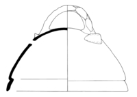 Afbeelding object 99sted - 723 - Sis99-Ddt99-129 76