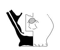 Afbeelding object 18lei3 - 68 - V960-13