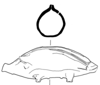 Afbeelding object 99sted - 685 - Sis99-Ddt99-170 39