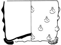 Afbeelding object 99sted - gl 38 - Sis99-Ddt99-174 2