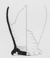 Afbeelding object 92almereCMA7 - 07/002 - scheepswrak Almere 2 E west / ZW 13-02