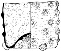 Afbeelding object 95alk1 - 159 - 91wor-3-83